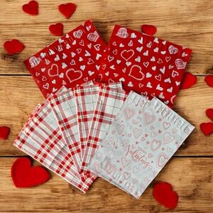 (10) 6x9 & 10x3 Assorted Valentines Poly Mailers (Pack #4)